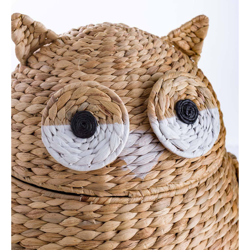 Bayou Breeze Whimsical Woven Water Hyacinth Owl Basket & Reviews Wayfair